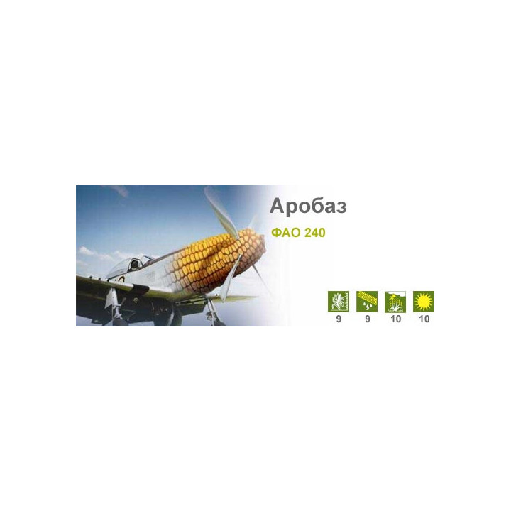 Аробаз / Arobase