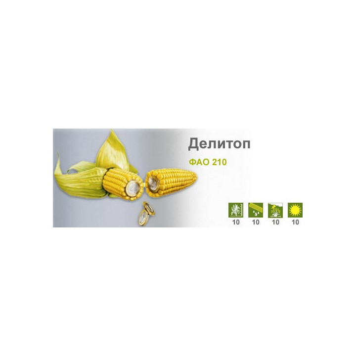 Делитоп / Delitop