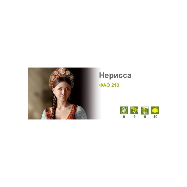 Нерисса