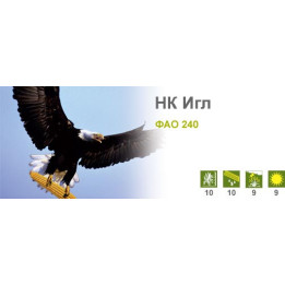 НК Игл