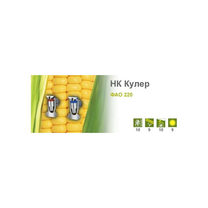 НК Кулер