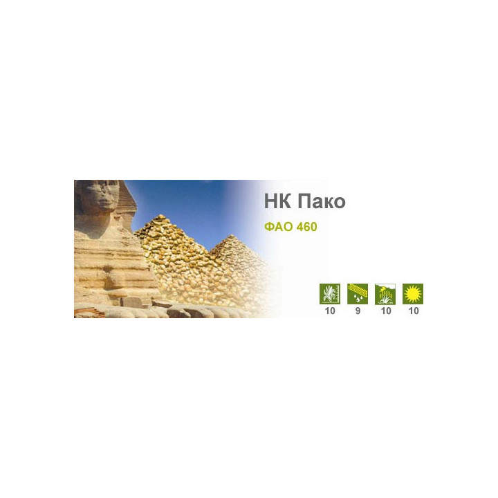 НК Пако