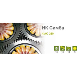 НК Симба