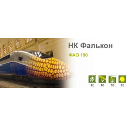 НК Фалькон
