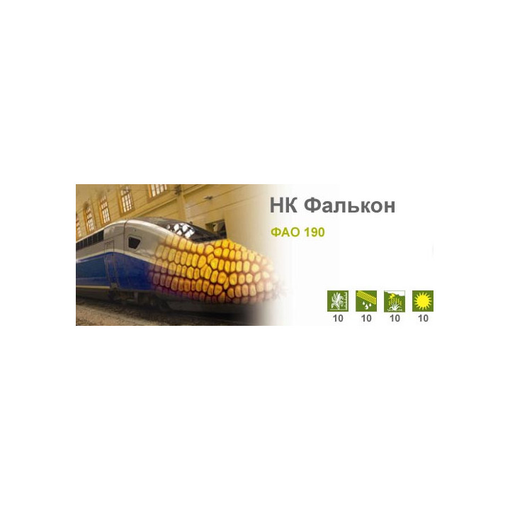 НК Фалькон