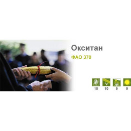 Окситан