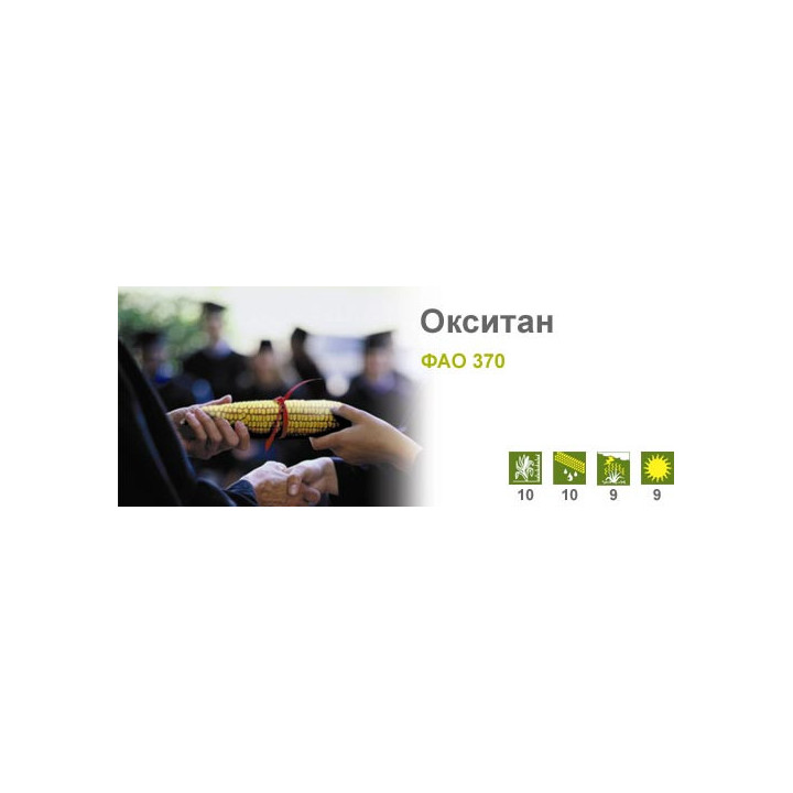 Окситан