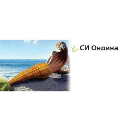 СИ Ондина