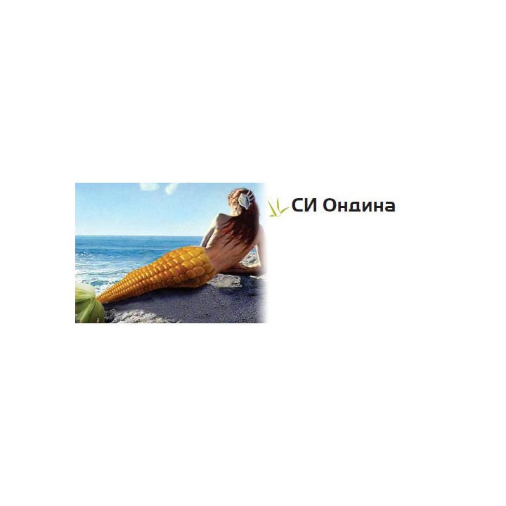СИ Ондина