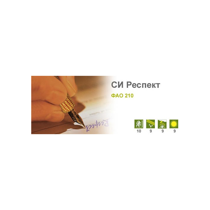 СИ Респект