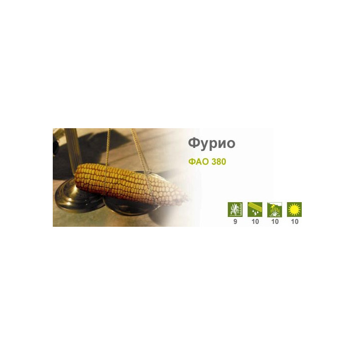 Фурио