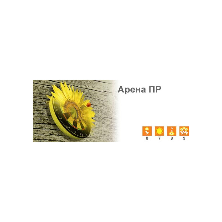 Арена ПР