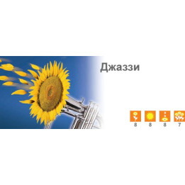 Джаззи