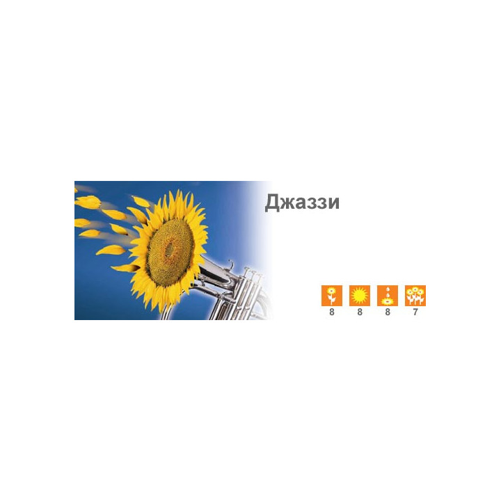 Джаззи