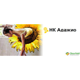 НК Адажио