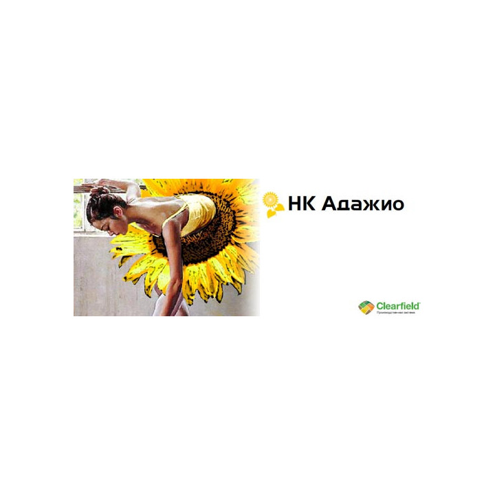НК Адажио