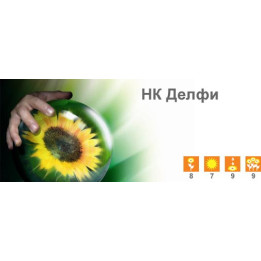 НК Делфи