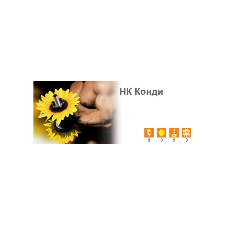 НК Конди