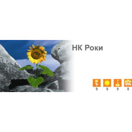 НК Роки