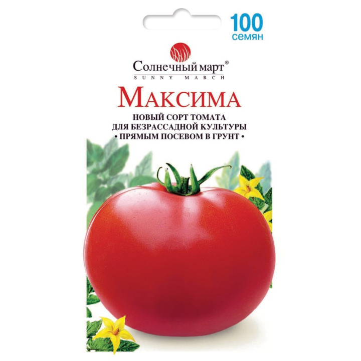 МАКСИМА
