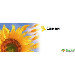 Санай