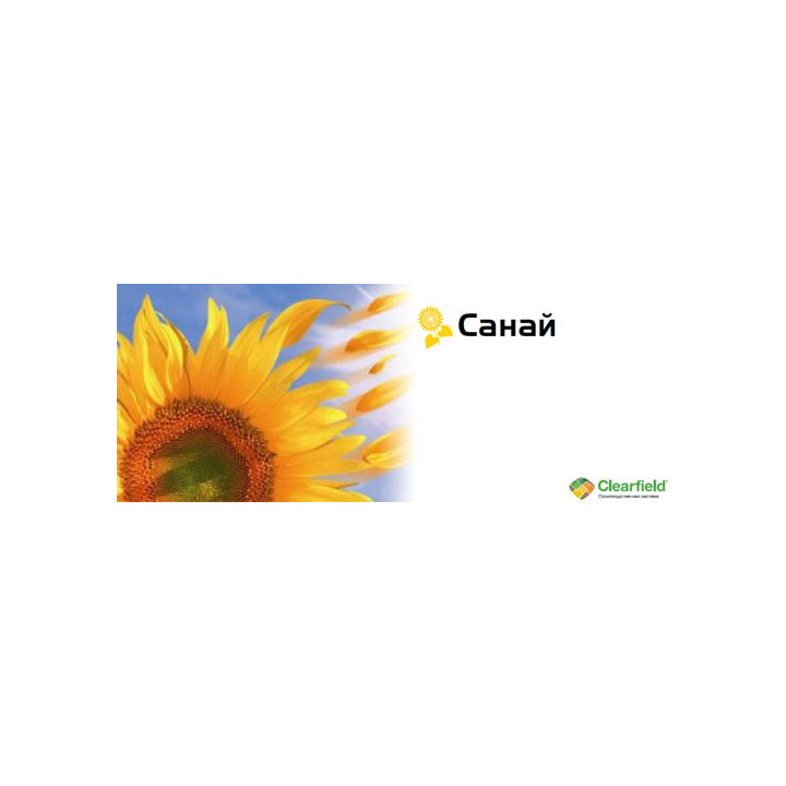 Санай