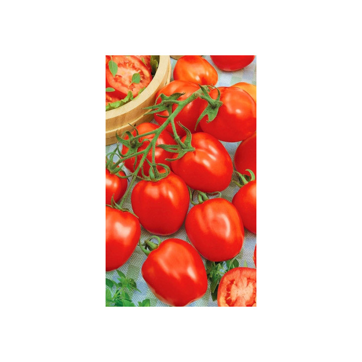 ЭЛЬКОЛАНТ