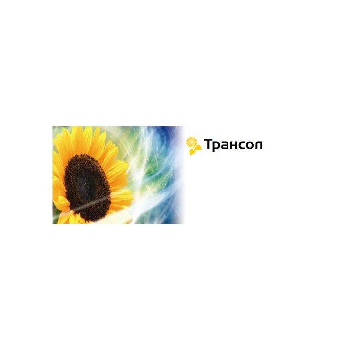 Трансол