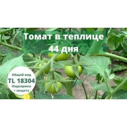 Л404