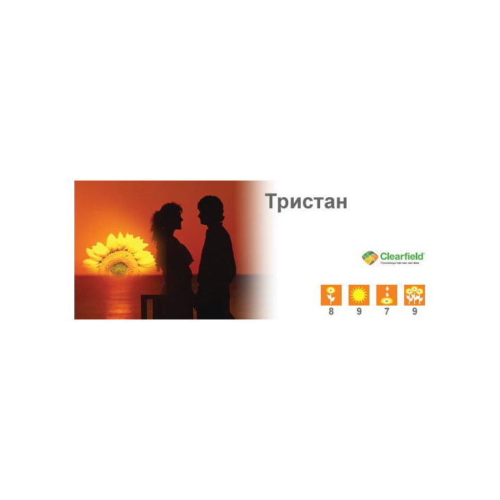 Тристан