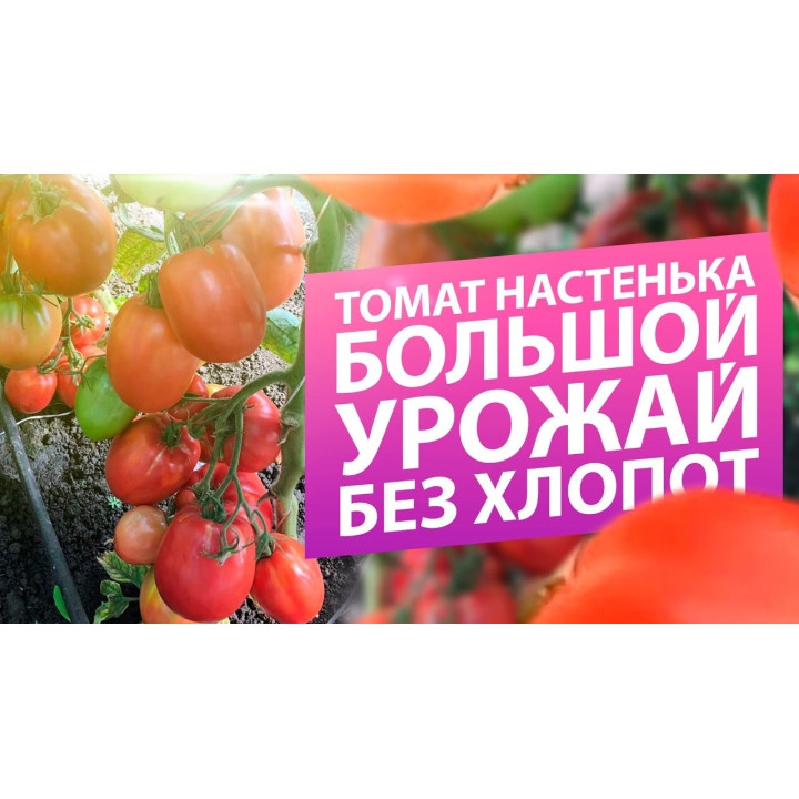Л-26/19