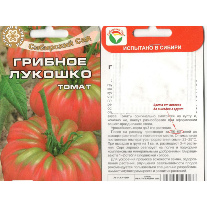 Л-9-16/17