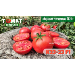 Т 023 1