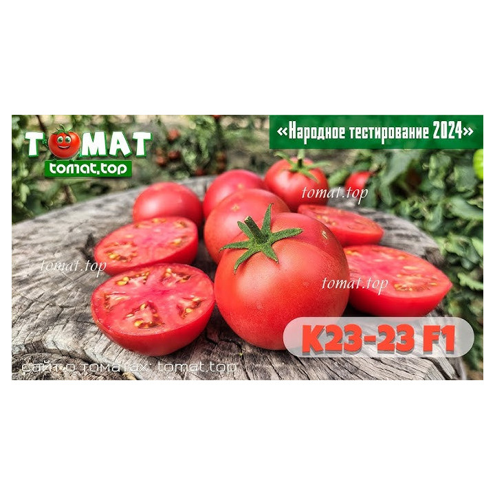 Т 023 1