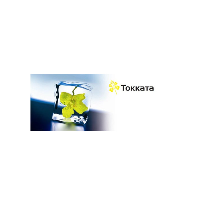 Токката / Toccata