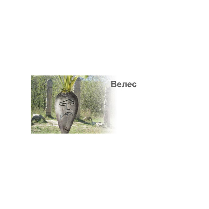 Велес
