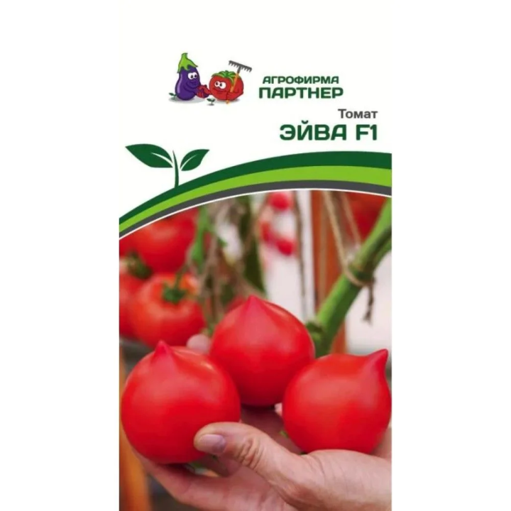 ЭЙВА