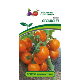 АГАША