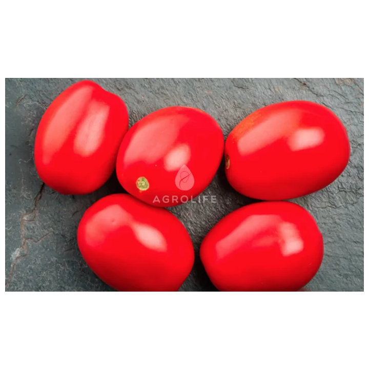 Х 1301