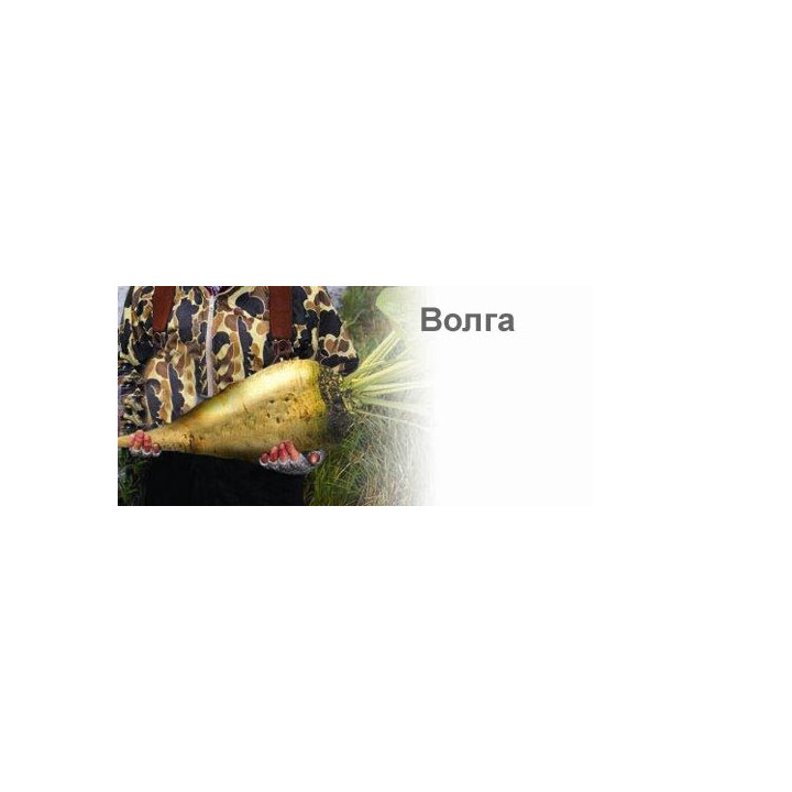 Волга