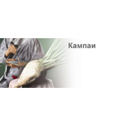 Кампаи