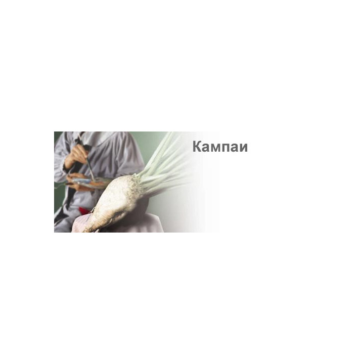 Кампаи