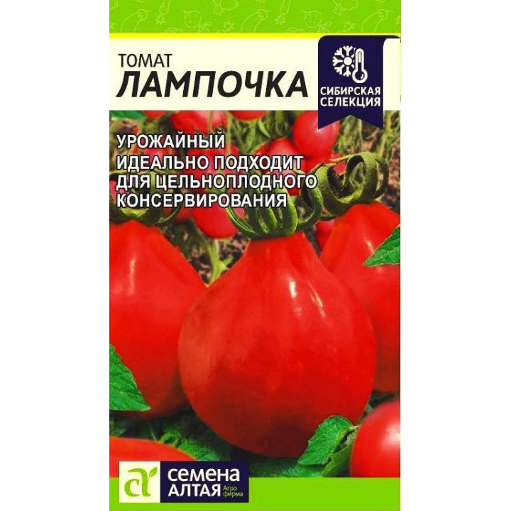 ЛАМПОЧКА АЛТАЙСКАЯ