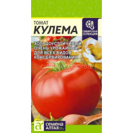 КУЛЕМА АЛТАЙСКАЯ