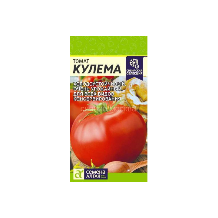 КУЛЕМА АЛТАЙСКАЯ