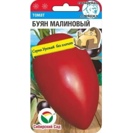 БУЯН МАЛИНОВЫЙ