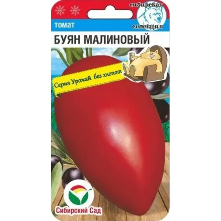 БУЯН МАЛИНОВЫЙ