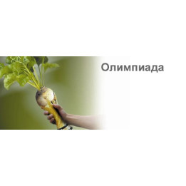 Олимпиада