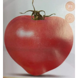 5 122
