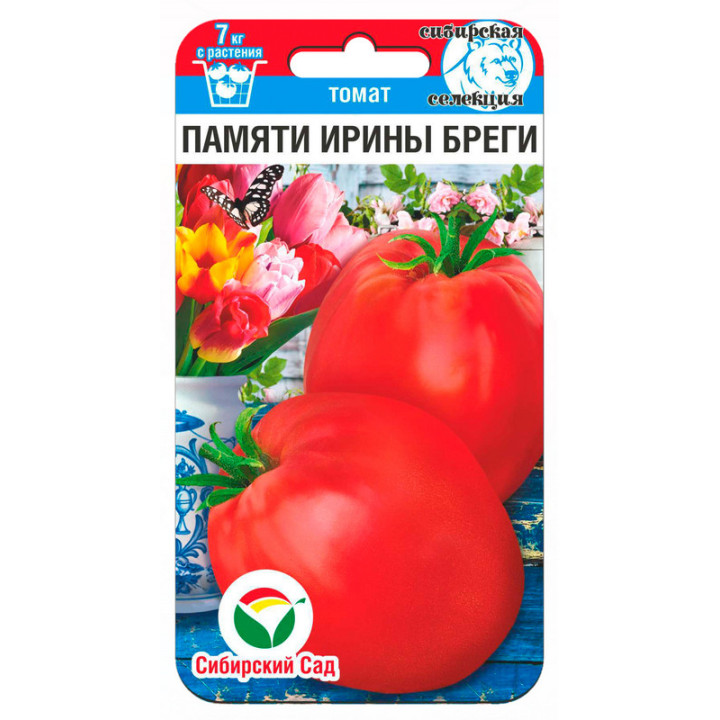 ПАМЯТИ ИРИНЫ БРЕГИ